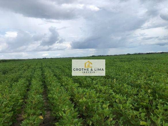Hacienda en venta de 11.000 ha en São José do Peixe, PI, Brasil