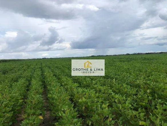 Fazenda à venda de 11.000 ha em São José do Peixe, PI, Brasil