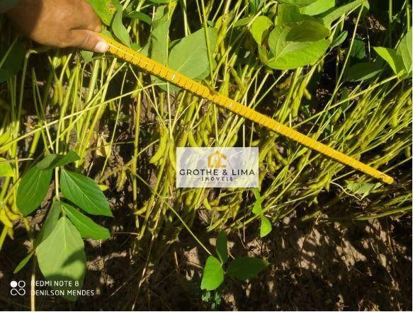 Hacienda en venta de 11.000 ha en São José do Peixe, PI, Brasil