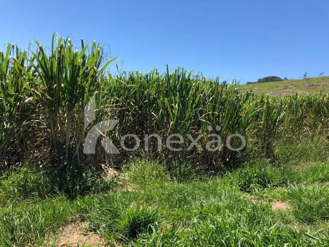 Fazenda à venda de 400 ha em Jacareí, SP, Brasil