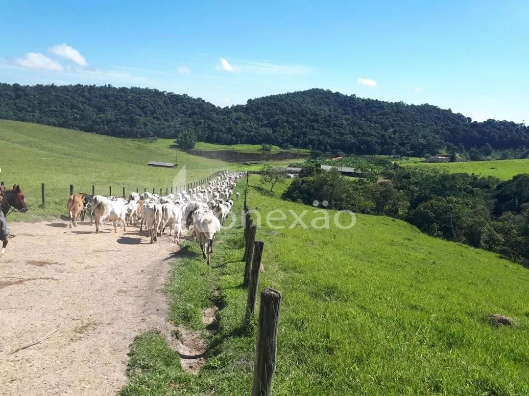 Fazenda à venda de 400 ha em Jacareí, SP, Brasil