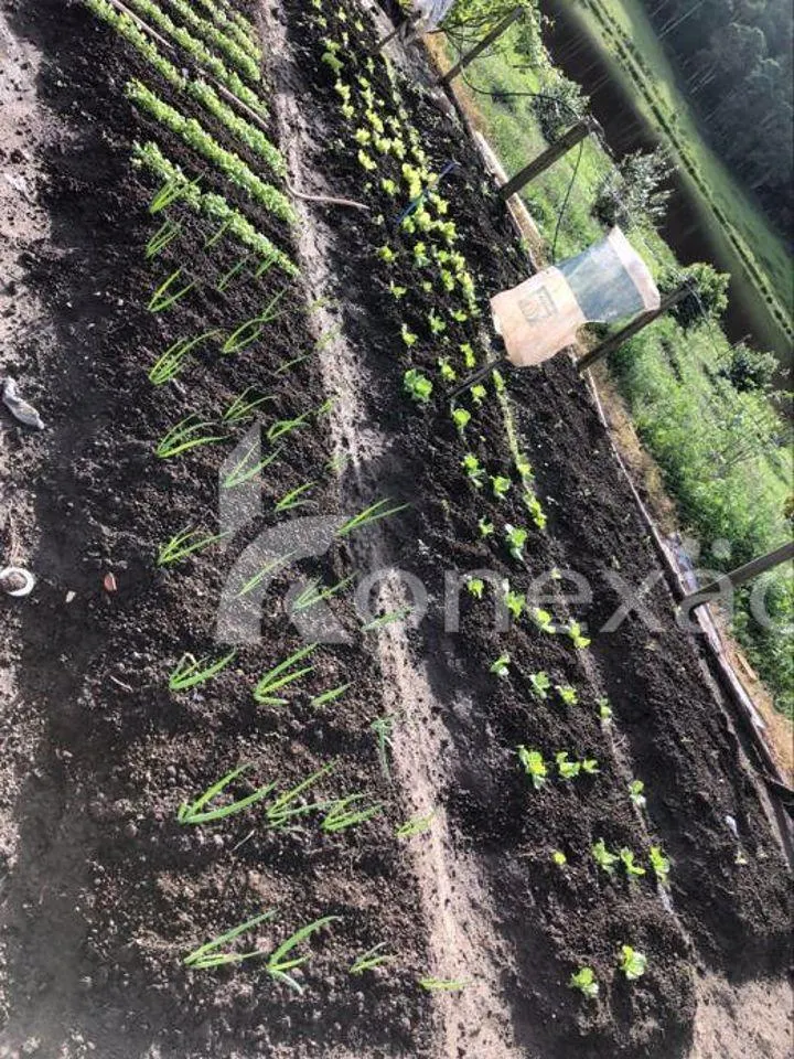 Fazenda à venda de 400 ha em Jacareí, SP, Brasil