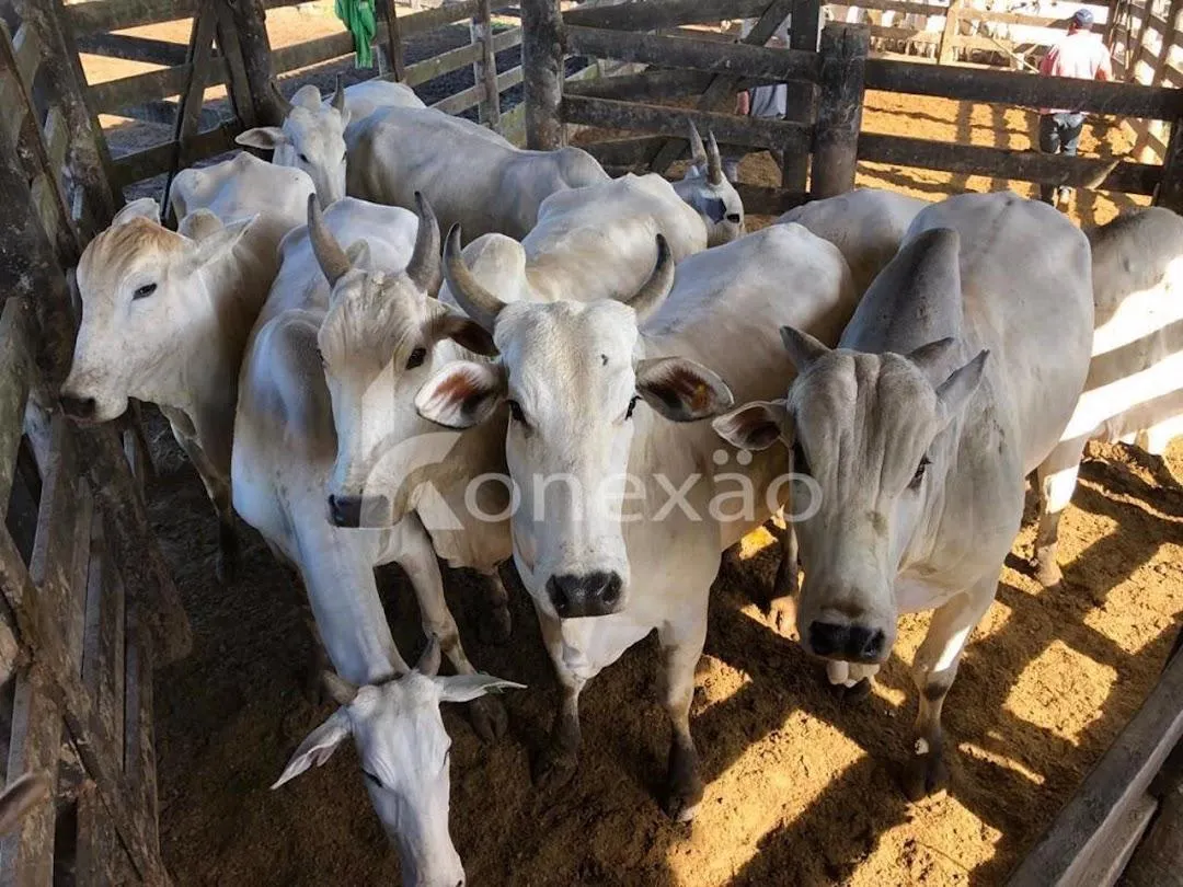 Fazenda à venda de 400 ha em Jacareí, SP, Brasil