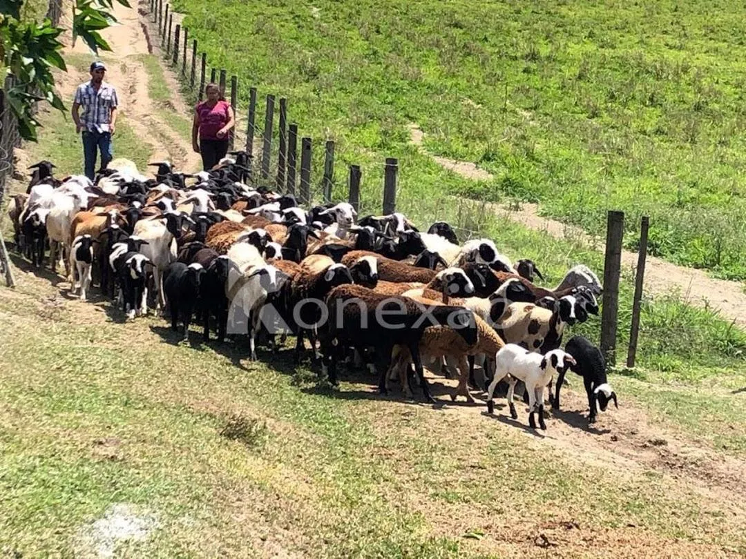 Fazenda à venda de 400 ha em Jacareí, SP, Brasil