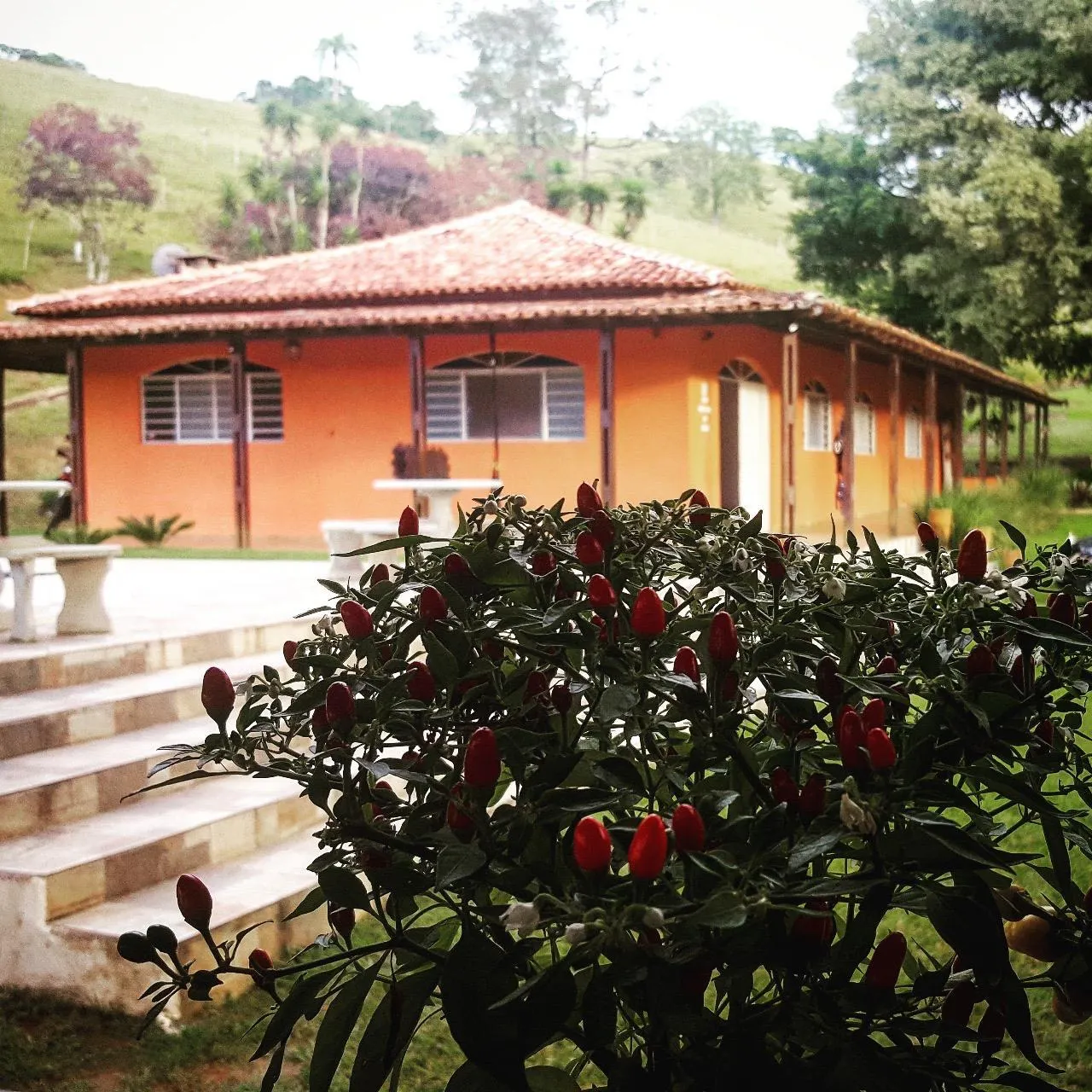 Sítio à venda e para Arrendar de 5 ha em Santa Isabel, SP, Brasil