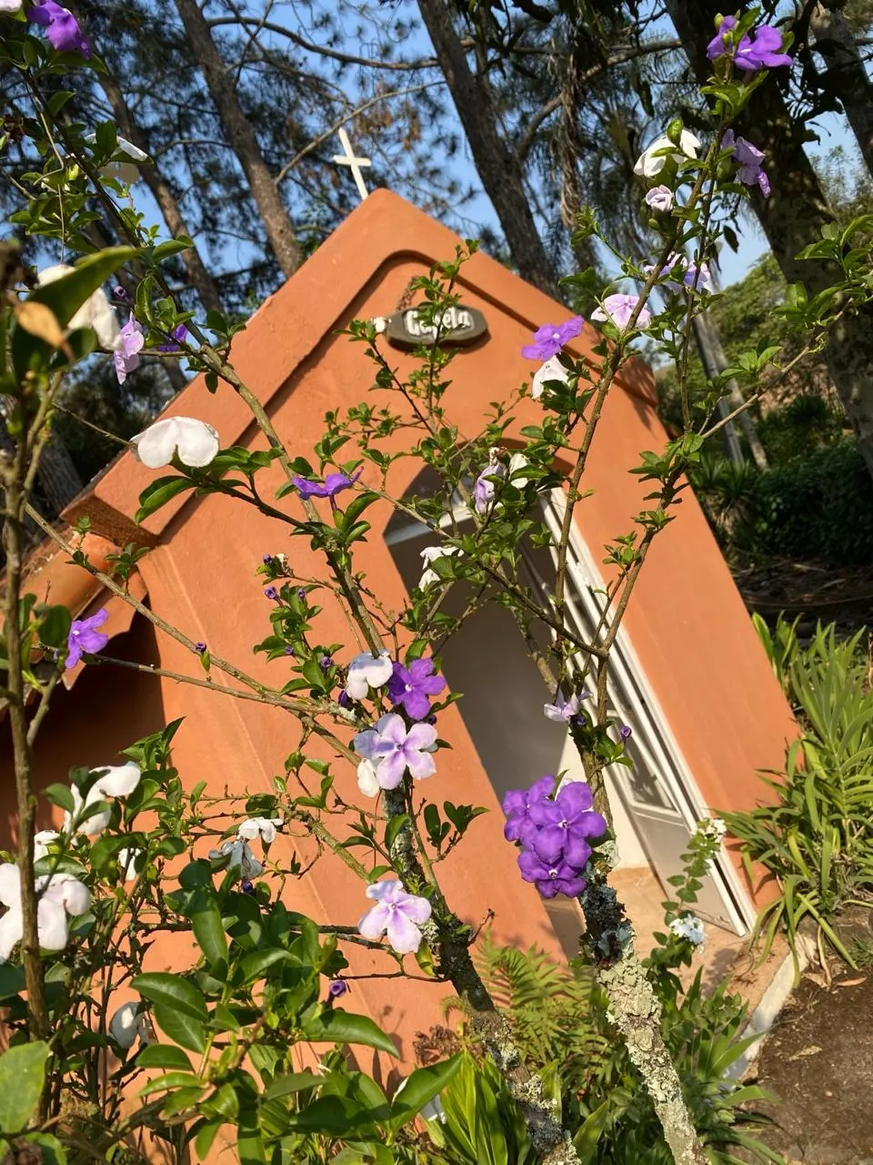 Sítio à venda e para Arrendar de 5 ha em Santa Isabel, SP, Brasil