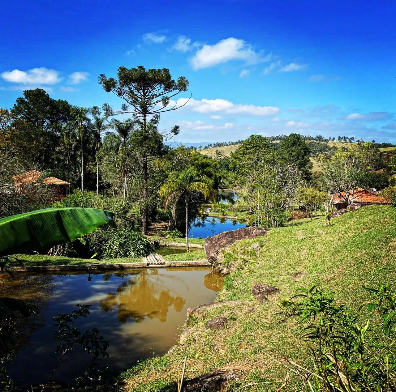 Sítio à venda e para Arrendar de 5 ha em Santa Isabel, SP, Brasil