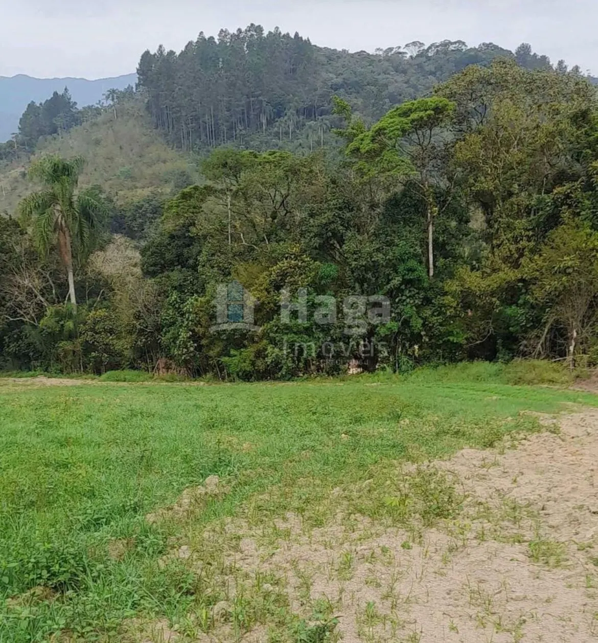 Chácara à venda de 2.000 m² em São João Batista, SC, Brasil
