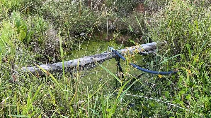 Chácara à venda de 6 ha em Taquara, RS, Brasil