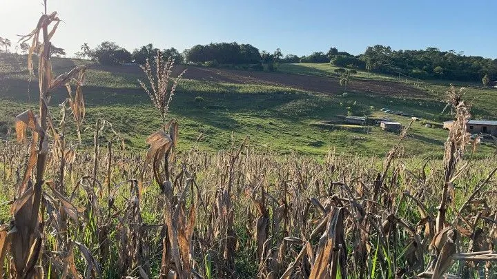 Chácara à venda de 6 ha em Taquara, RS, Brasil