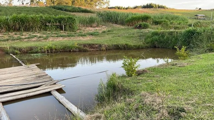 Chácara à venda de 6 ha em Taquara, RS, Brasil