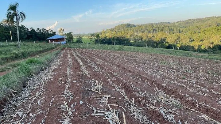 Chácara à venda de 6 ha em Taquara, RS, Brasil