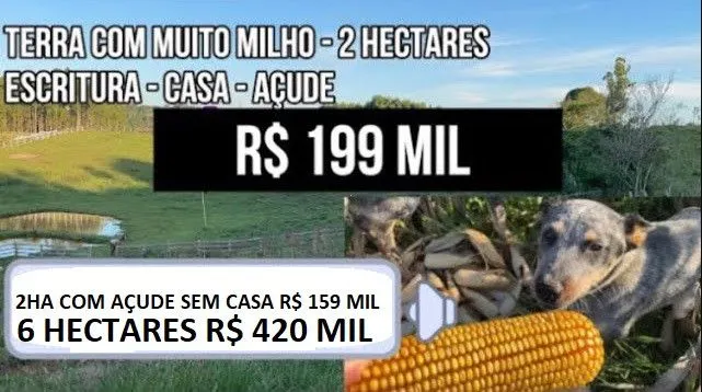 Chácara à venda de 6 ha em Taquara, RS, Brasil