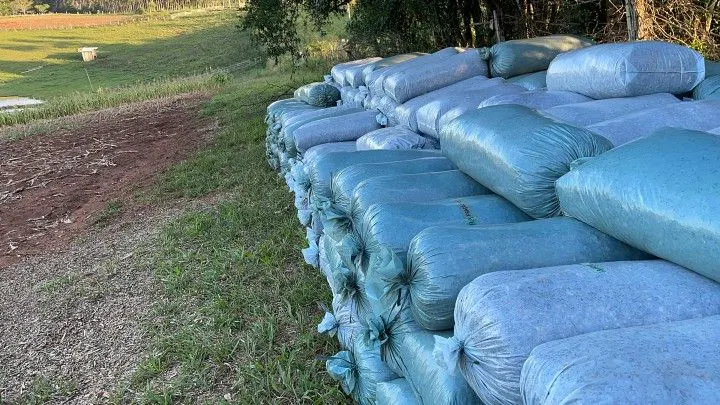 Chácara à venda de 6 ha em Taquara, RS, Brasil