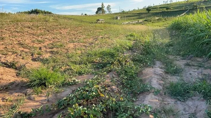 Chácara à venda de 6 ha em Taquara, RS, Brasil