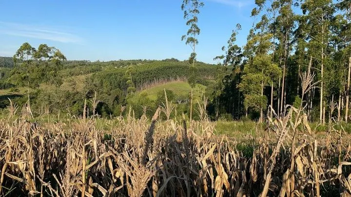 Chácara à venda de 6 ha em Taquara, RS, Brasil