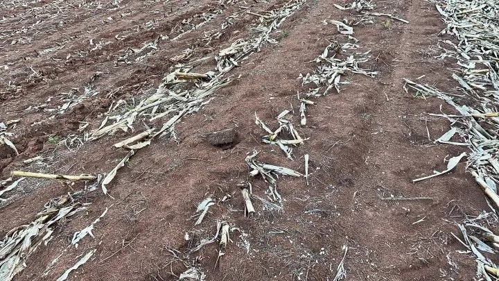 Chácara à venda de 6 ha em Taquara, RS, Brasil