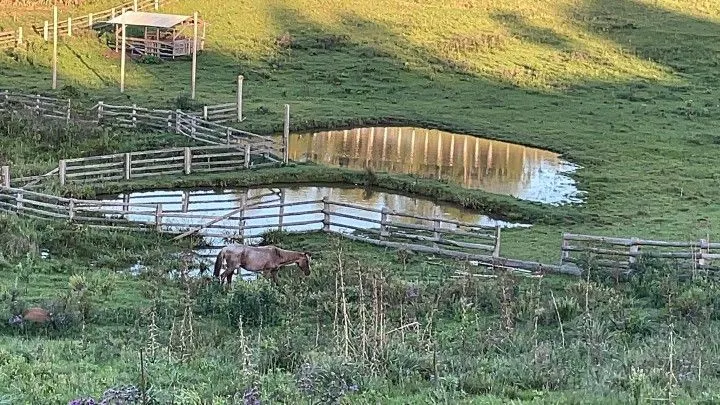 Chácara à venda de 6 ha em Taquara, RS, Brasil