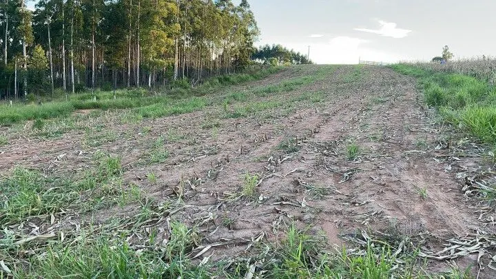 Chácara à venda de 6 ha em Taquara, RS, Brasil