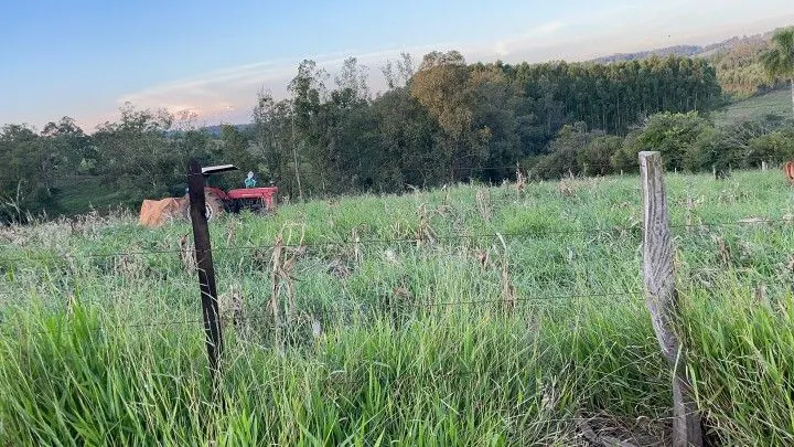 Chácara à venda de 6 ha em Taquara, RS, Brasil