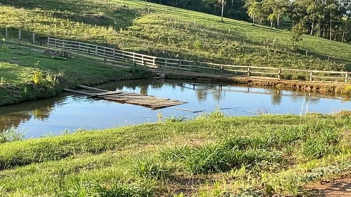 Chácara à venda de 6 ha em Taquara, RS, Brasil