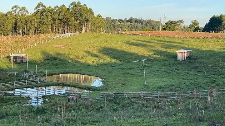 Chácara à venda de 6 ha em Taquara, RS, Brasil