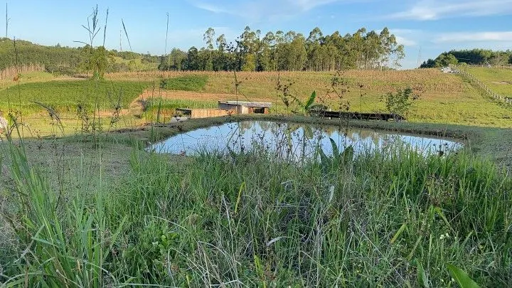 Chácara à venda de 6 ha em Taquara, RS, Brasil