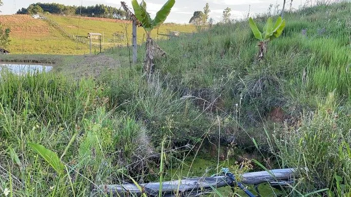 Chácara à venda de 6 ha em Taquara, RS, Brasil