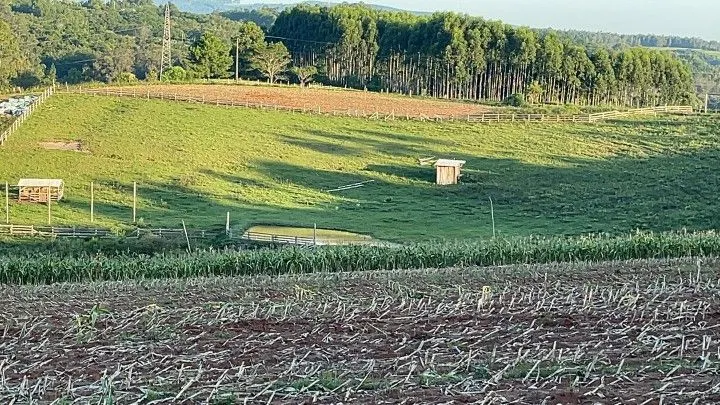 Chácara à venda de 6 ha em Taquara, RS, Brasil