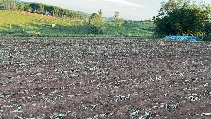 Chácara à venda de 6 ha em Taquara, RS, Brasil