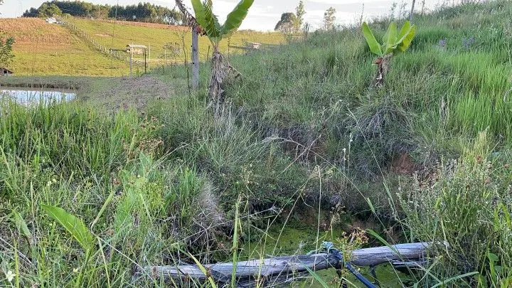 Chácara à venda de 6 ha em Taquara, RS, Brasil
