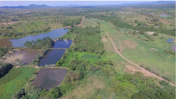Terreno à venda de 81.373 ha em Xinguara, PA, Brasil