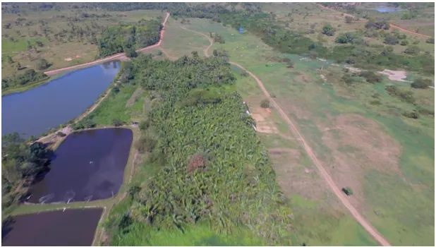 Terreno à venda de 81.373 ha em Xinguara, PA, Brasil