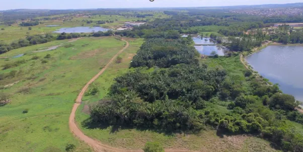 Terreno à venda de 81.373 ha em Xinguara, PA, Brasil