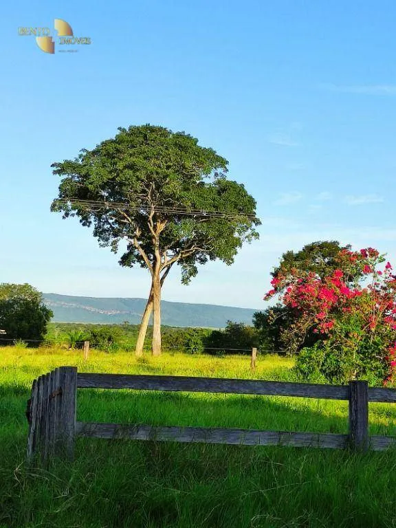 Fazenda à venda de 3.025 ha em Cáceres, MT, Brasil