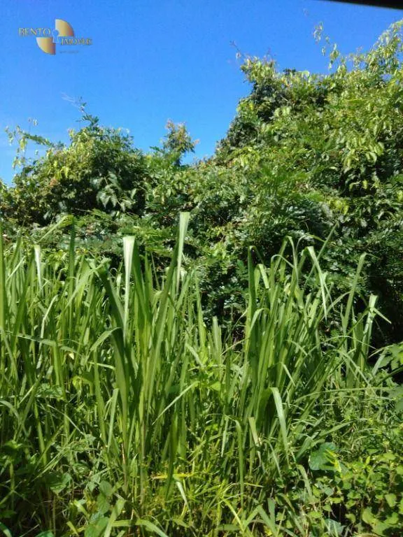 Fazenda à venda de 3.025 ha em Cáceres, MT, Brasil
