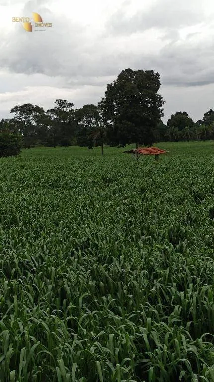 Fazenda à venda de 3.025 ha em Cáceres, MT, Brasil