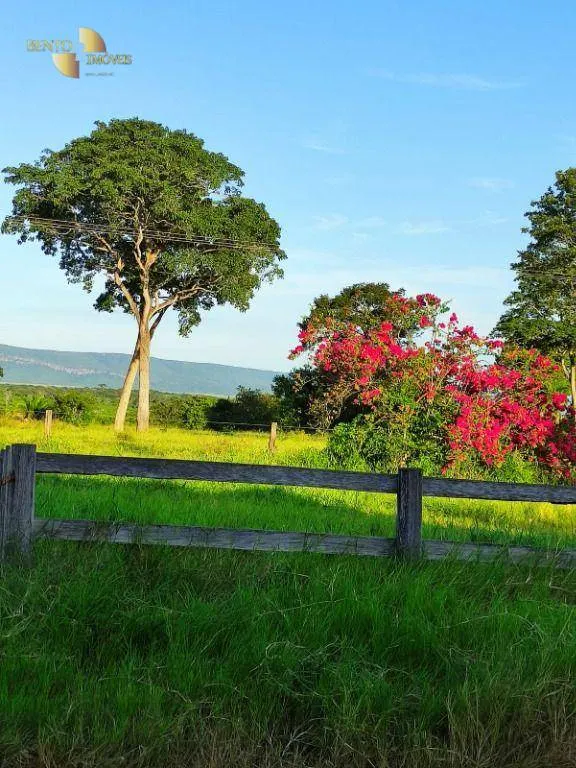 Fazenda à venda de 3.025 ha em Cáceres, MT, Brasil