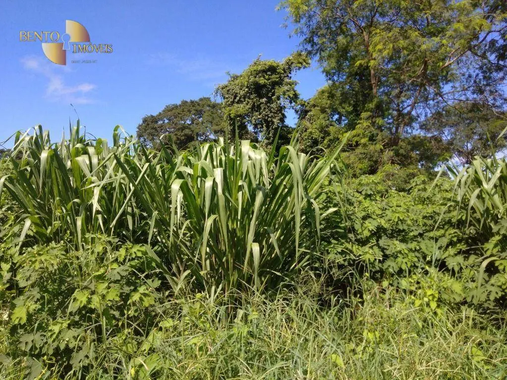 Fazenda à venda de 3.025 ha em Cáceres, MT, Brasil