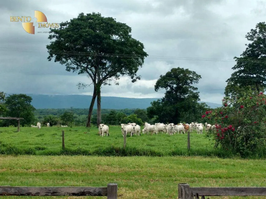 Fazenda à venda de 3.025 ha em Cáceres, MT, Brasil