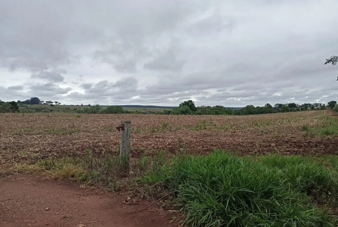 Small farm for sale of 81 acres in Itapetininga, SP, Brazil