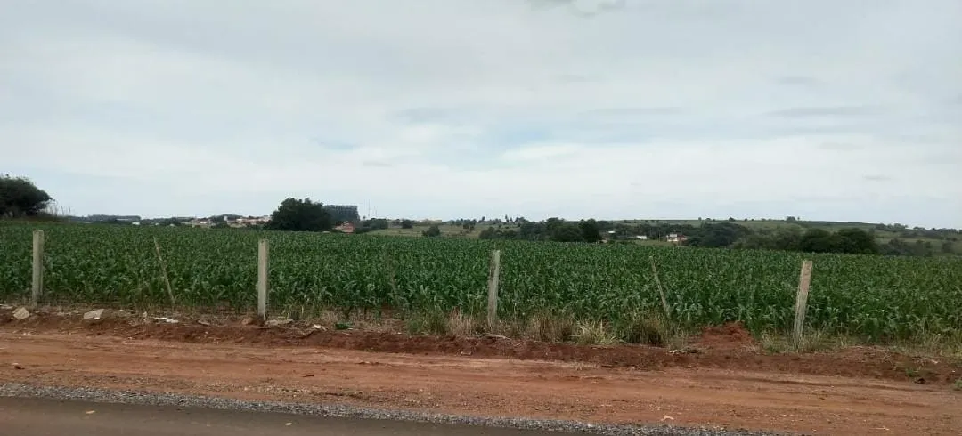 Small farm for sale of 81 acres in Itapetininga, SP, Brazil