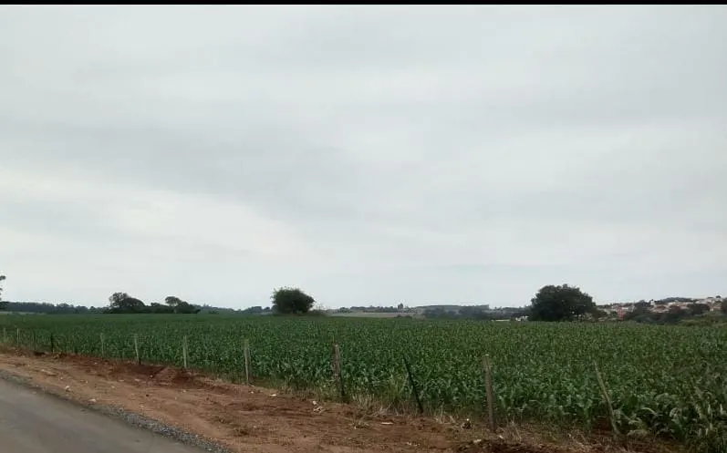 Small farm for sale of 81 acres in Itapetininga, SP, Brazil