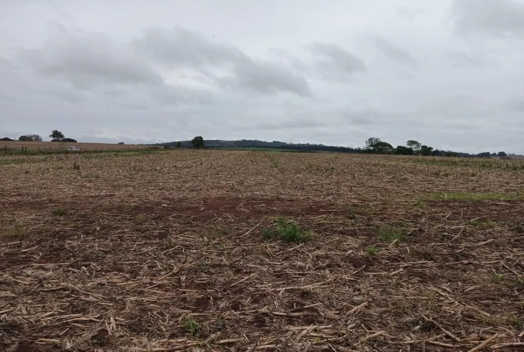 Small farm for sale of 81 acres in Itapetininga, SP, Brazil