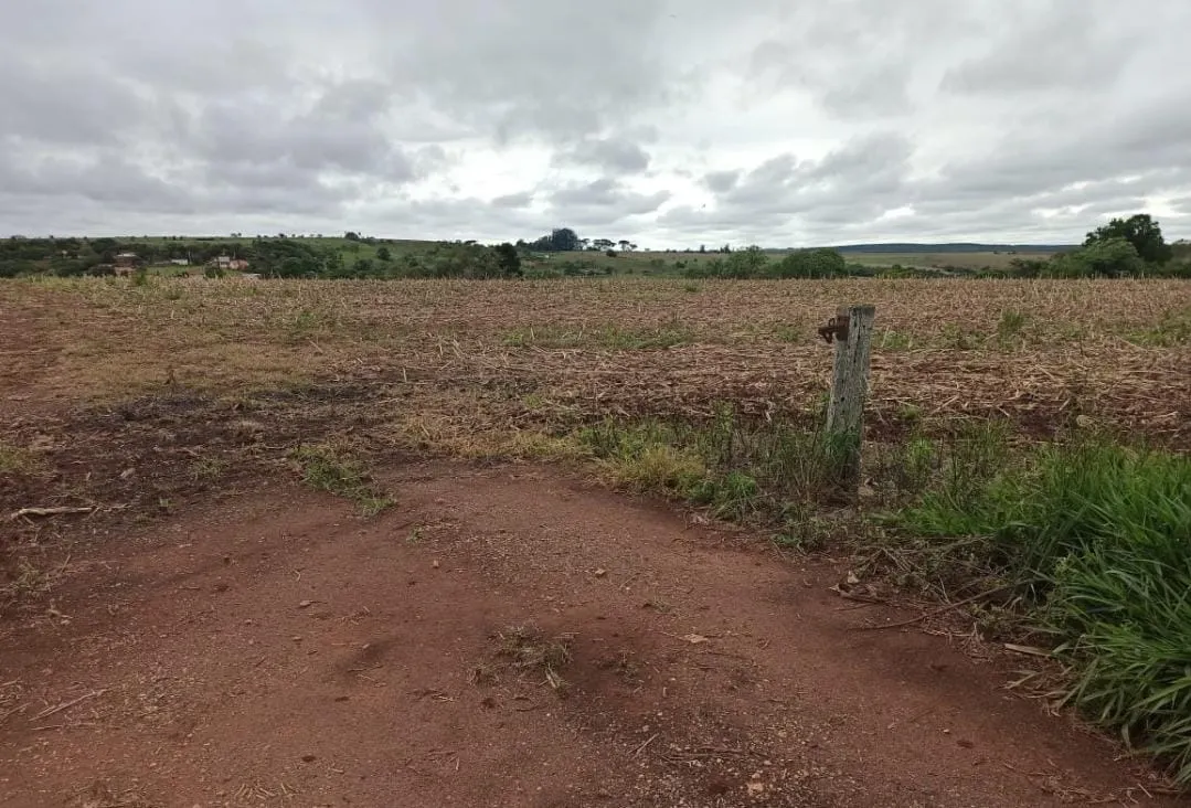 Small farm for sale of 81 acres in Itapetininga, SP, Brazil