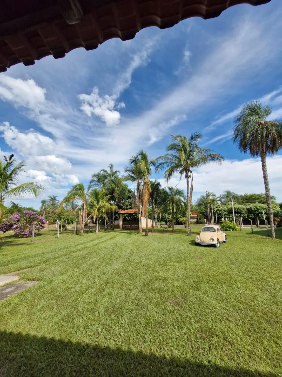 Country home for sale of 2,719 m² in Adolfo, SP, Brazil