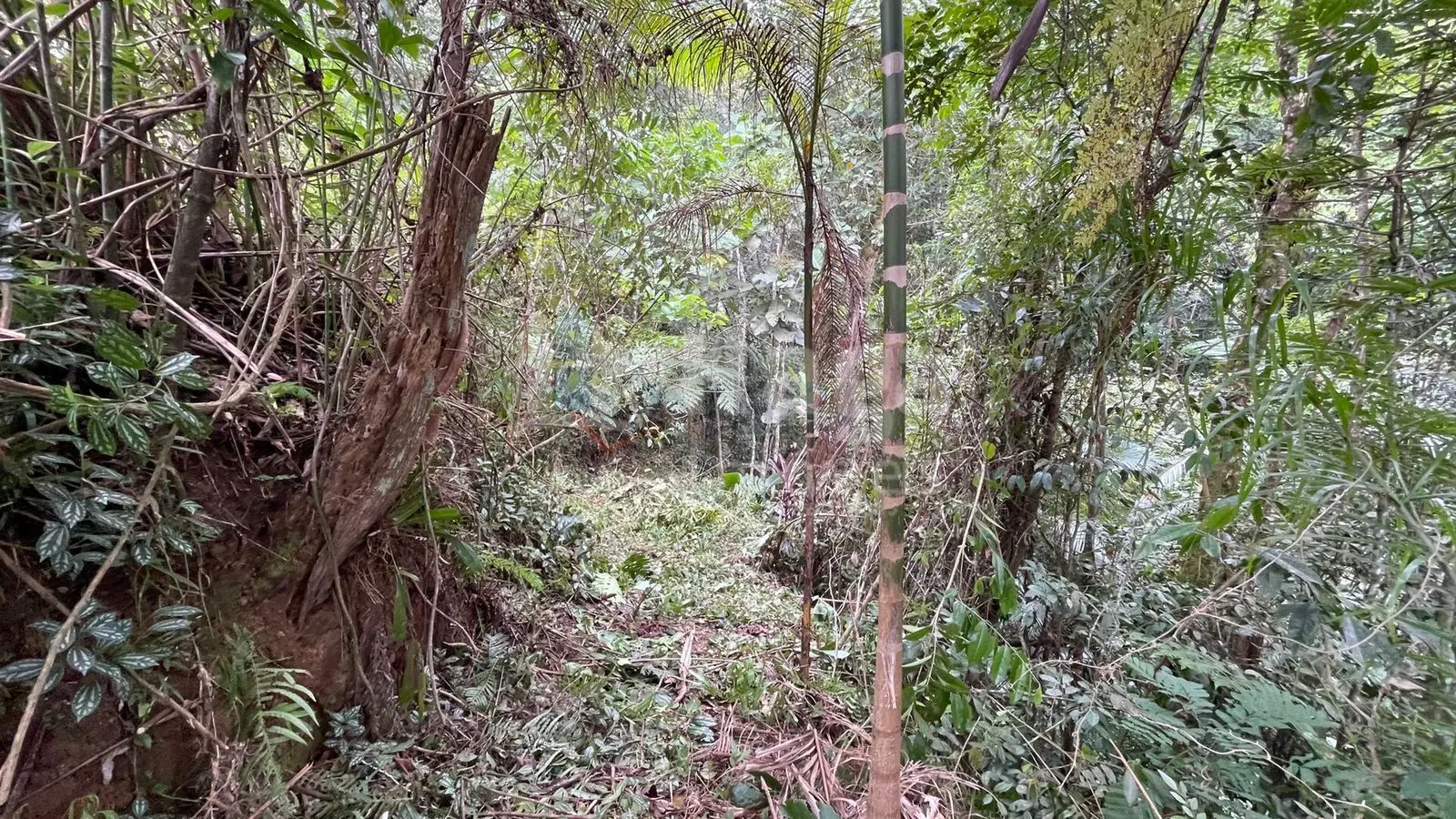 Plot for sale of 10 acres in Canelinha, SC, Brazil