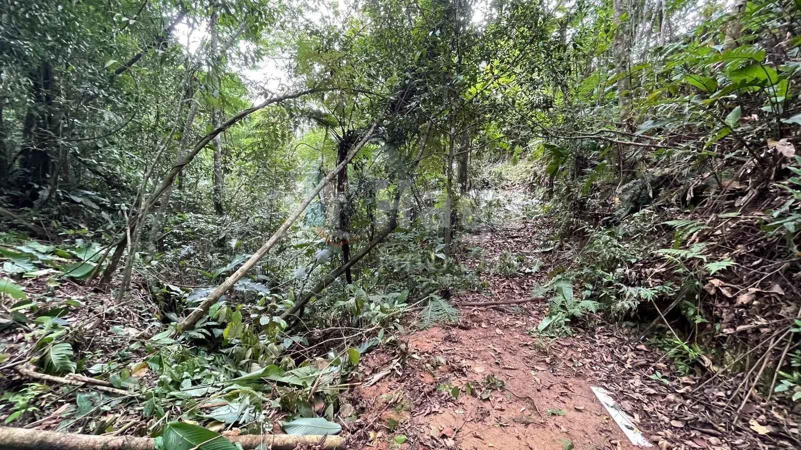 Plot for sale of 10 acres in Canelinha, SC, Brazil