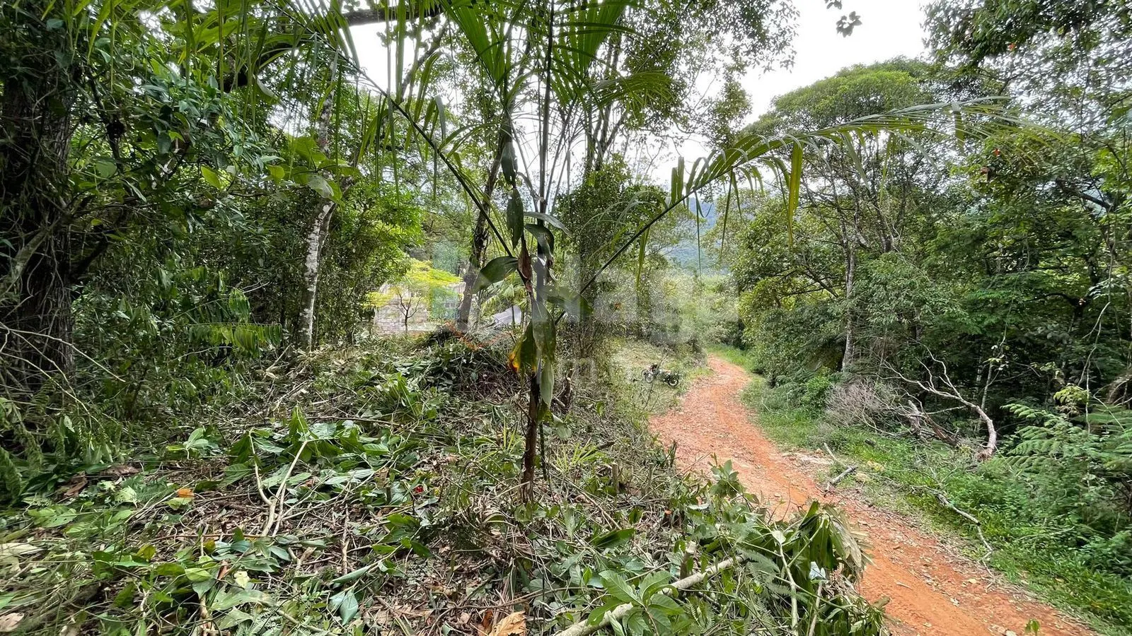Plot for sale of 10 acres in Canelinha, SC, Brazil