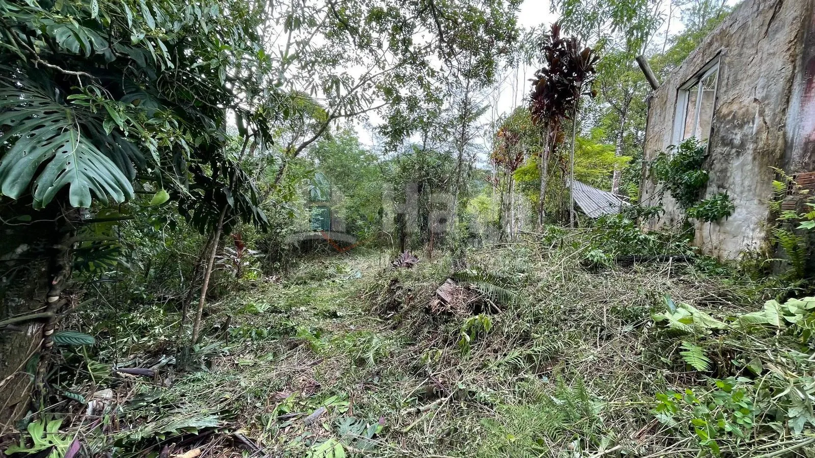 Plot for sale of 10 acres in Canelinha, SC, Brazil